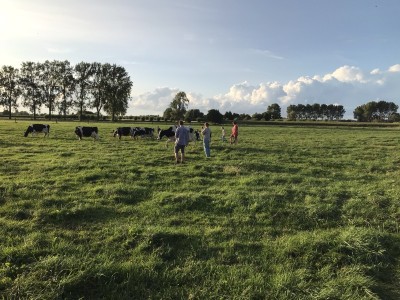 Voor bindkracht: hot maar de moeite waard